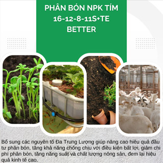 Phân Bón NPK Tím 16-12-8-11S+TE Hiệu Đầu Bò Túi 1KG (bán lẻ) - Kháng Bệnh, Phục Hồi Tăng Trưởng