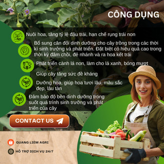 Phân Bón NPK Tím 16-12-8-11S+TE Hiệu Đầu Bò Túi 1KG (bán lẻ) - Kháng Bệnh, Phục Hồi Tăng Trưởng