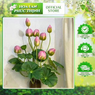 Cành Sen Búp 3 Bông 💥HÀNG CAO CẤP💥 Cành Sen Quan Âm, Hoa Sen Lụa Trang Trí Nội Thất Cực Sang