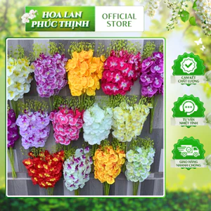 COMBO 10 Cành Lan Hồ Điệp Bé 💥HÀNG CAO CẤP💥 Lan Hồ Điệp 60cm, Thân Lan Bằng Nhựa Bọc Thép Dễ Dàng Tạo Kiểu