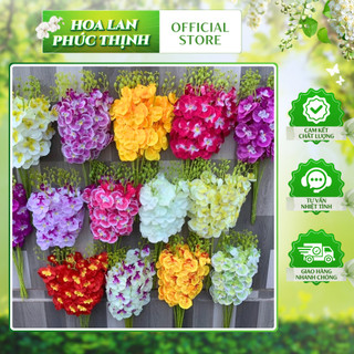 COMBO 10 Cành Lan Hồ Điệp Bé 💥HÀNG CAO CẤP💥 Lan Hồ Điệp 60cm, Thân Lan Bằng Nhựa Bọc Thép Dễ Dàng Tạo Kiểu