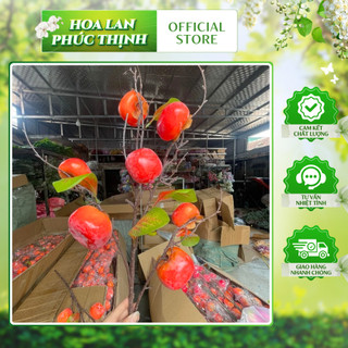 Cành Quả Hồng Vuông/ Tròn 💥HÀNG CAO CẤP💥 Cành Quả Mốc Chất Liệu Silicon Nhập Khẩu Bền Màu, Trang Trí Nhà Cửa