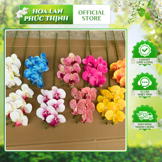 Lan Hồ Điệp Cao Su 5 Bông 💥HÀNG CAO CẤP💥 Lan Hồ Điệp 70cm Thân Thường, Nhiều Màu Phù Hợp Nhiều Phong Cách Nội Thất
