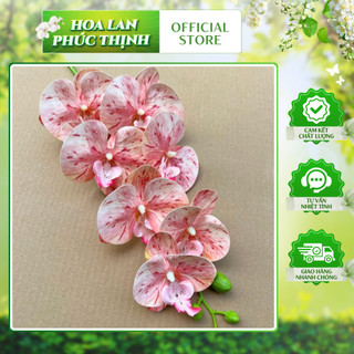 Lan Su 7 Bông Thân Thường 💥HÀNG CAO CẤP💥 Lan Hồ Điệp Trang Trí Phòng Khách, Bàn Làm Việc, Bàn Ăn Sang Trọng
