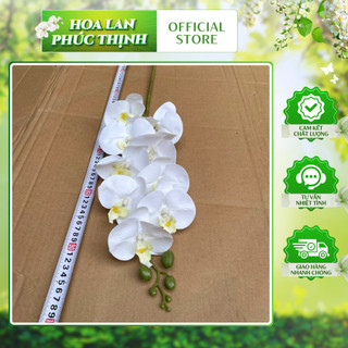 Lan Su 9 Bông Thân Thường 💥HÀNG CAO CẤP💥 Lan Hồ Điệp Trang Trí Phòng Khách, Bàn Làm Việc, Bàn Ăn Sang Trọng
