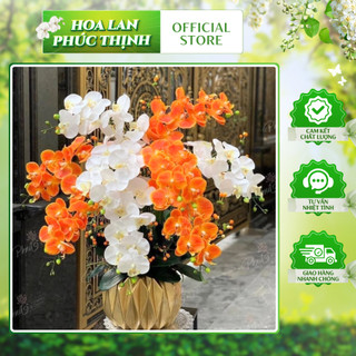 Lan Ướt 💥HÀNG CAO CẤP💥 Lan Hồ Điệp Cao Su Ướt Thân Đốm 9 Bông, Cành 95cm Dài Đẹp Trang Trí Nhà Cửa