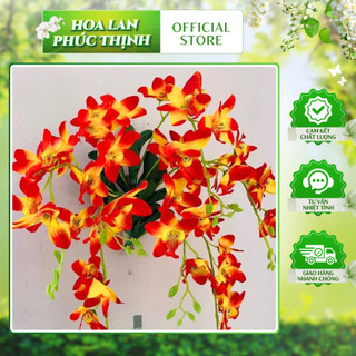 Lan Treo Tường Denro 💥HÀNG CAO CẤP💥 Lan Nữ Sao 7 Nhánh Nhiều Màu, Decor Trang Trí Nhà Cửa Siêu Sang
