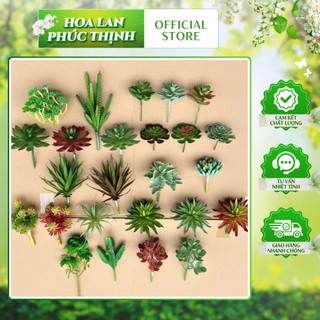 Cây Sen Đá Cao Su 💥HÀNG CAO CẤP💥 Các Loại Hoa Sen Đá, Sen Đá Sương Rồng Mini Trang Trí Nhà Cửa