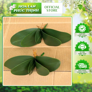 Lá Lan Hồ Điệp 💥HÀNG CAO CẤP💥 Lá Lan Cao Su Trang Trí Nhà Cửa Bền Đẹp, Loại 21cm, 19cm, 16cm