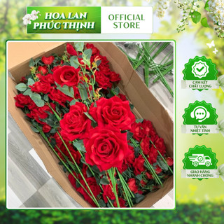 Cành Hồng Nhung 5 Bông💥HÀNG NHẬP NGUYÊN CÀNH CAO CẤP💥 Hoa Hồng Nhung Cành Cao 92cm, Trang Trí Nhà Cửa Sực Sang Trọng
