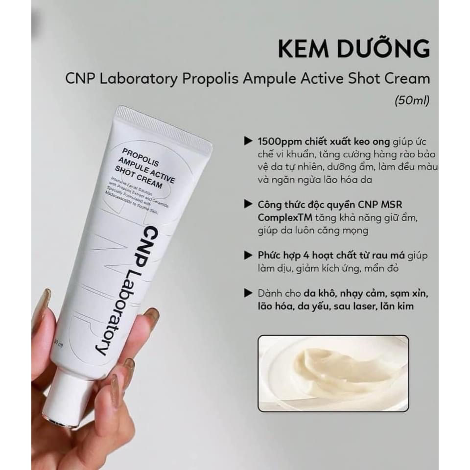Set Kem Dưỡng Keo Ong CNP Laboratory Propolis Ampule Active Cream