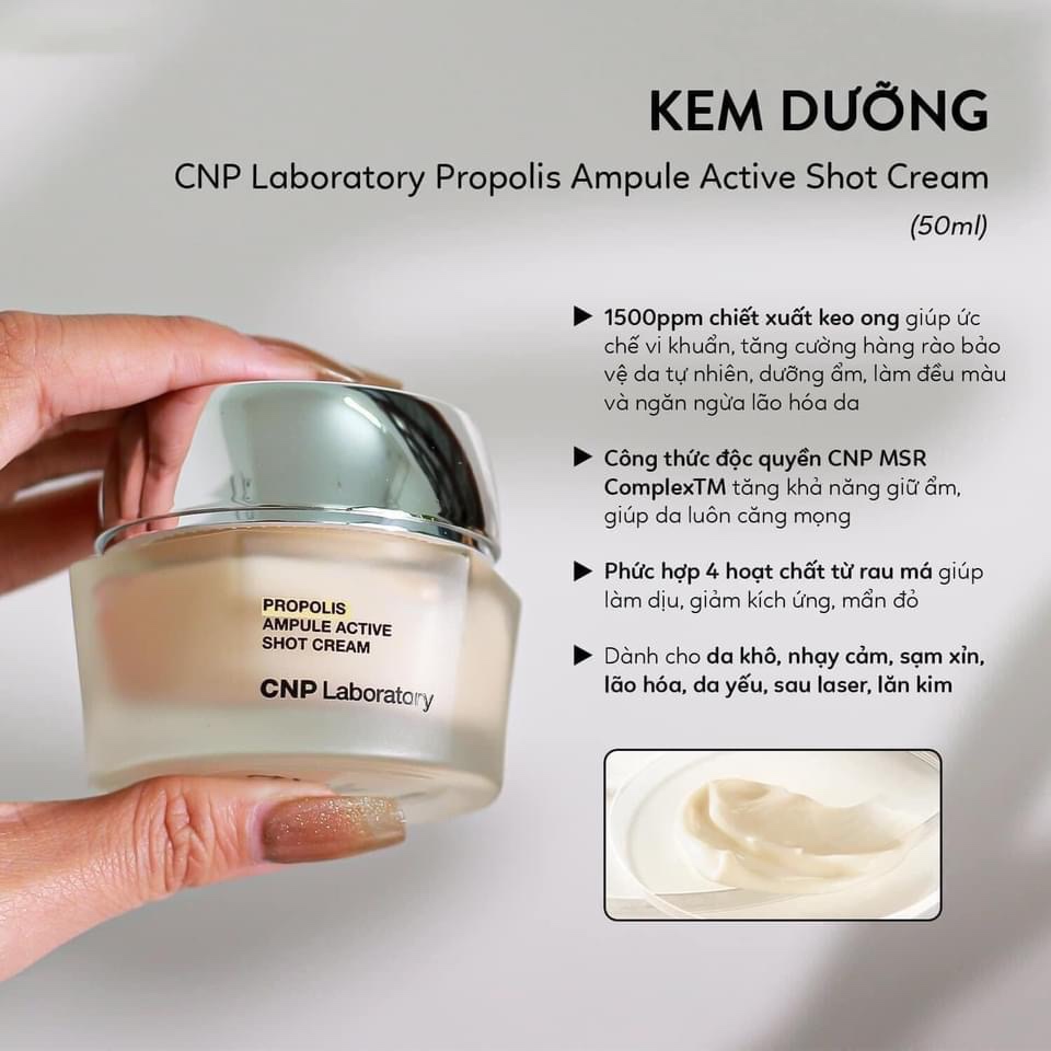 Set Kem Dưỡng Keo Ong CNP Laboratory Propolis Ampule Active Cream