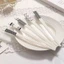 Đũa Chống Trượt Nhật Bản, Đũa Ăn Cơm Màu Trắng Sang Trọng Chống Mốc, SET 5 ĐÔI ĐŨA GỐM SỨ - MÃ: 0252