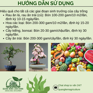 Phân Bón Đầu Trâu 15-15-15 NPK Bình Điền (Túi 1KG) - Giúp tăng trưởng, Chồi lá khỏe, Ra hoa nhiều