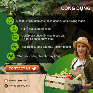 Phân Bón Đầu Trâu 15-15-15 NPK Bình Điền (Túi 1KG) - Giúp tăng trưởng, Chồi lá khỏe, Ra hoa nhiều