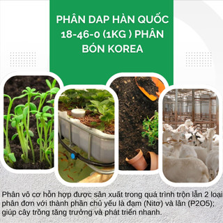 Phân DAP Hàn Quốc Túi 100GR/500GR/1KG (bán lẻ) - Cung Cấp Dinh Dưỡng, Tăng Năng Suất, Kháng Sâu Bệnh