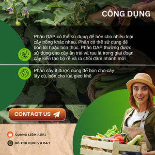 Phân DAP Hàn Quốc Túi 100GR/500GR/1KG (bán lẻ) - Cung Cấp Dinh Dưỡng, Tăng Năng Suất, Kháng Sâu Bệnh