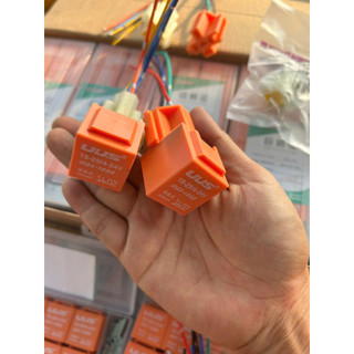 COMBO 10 rơ le cam to 12v-24v kèm rắc.