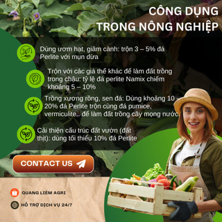 Đá Trân Châu Perlite Namix - Giúp giữ ẩm, Giữ dinh dưỡng, Thoát nước tốt hạn chế sự ngập úng (5dm3)