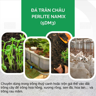 Đá Trân Châu Perlite Namix - Giúp giữ ẩm, Giữ dinh dưỡng, Thoát nước tốt hạn chế sự ngập úng (5dm3)