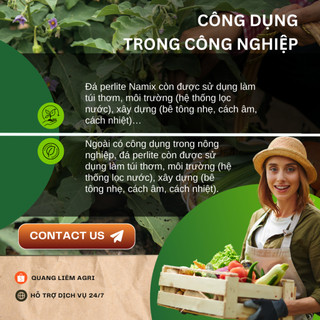Đá Trân Châu Perlite Namix - Giúp giữ ẩm, Giữ dinh dưỡng, Thoát nước tốt hạn chế sự ngập úng (5dm3)