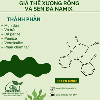 Giá Thể Xương Rồng và Sen Đá Namix - Tơi xốp, Thoáng khí, Giúp rễ và cây phát triển mạnh (5dm3)