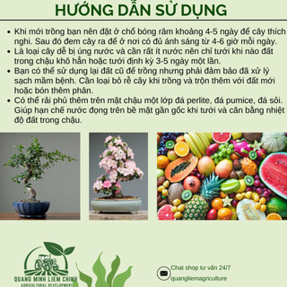Giá Thể Xương Rồng và Sen Đá Namix - Tơi xốp, Thoáng khí, Giúp rễ và cây phát triển mạnh (5dm3)