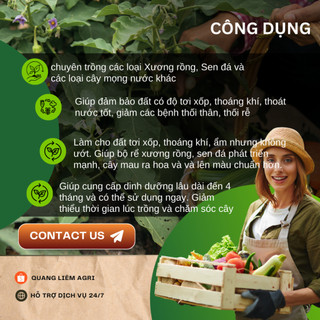 Giá Thể Xương Rồng và Sen Đá Namix - Tơi xốp, Thoáng khí, Giúp rễ và cây phát triển mạnh (5dm3)