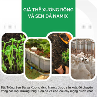 Giá Thể Xương Rồng và Sen Đá Namix - Tơi xốp, Thoáng khí, Giúp rễ và cây phát triển mạnh (5dm3)