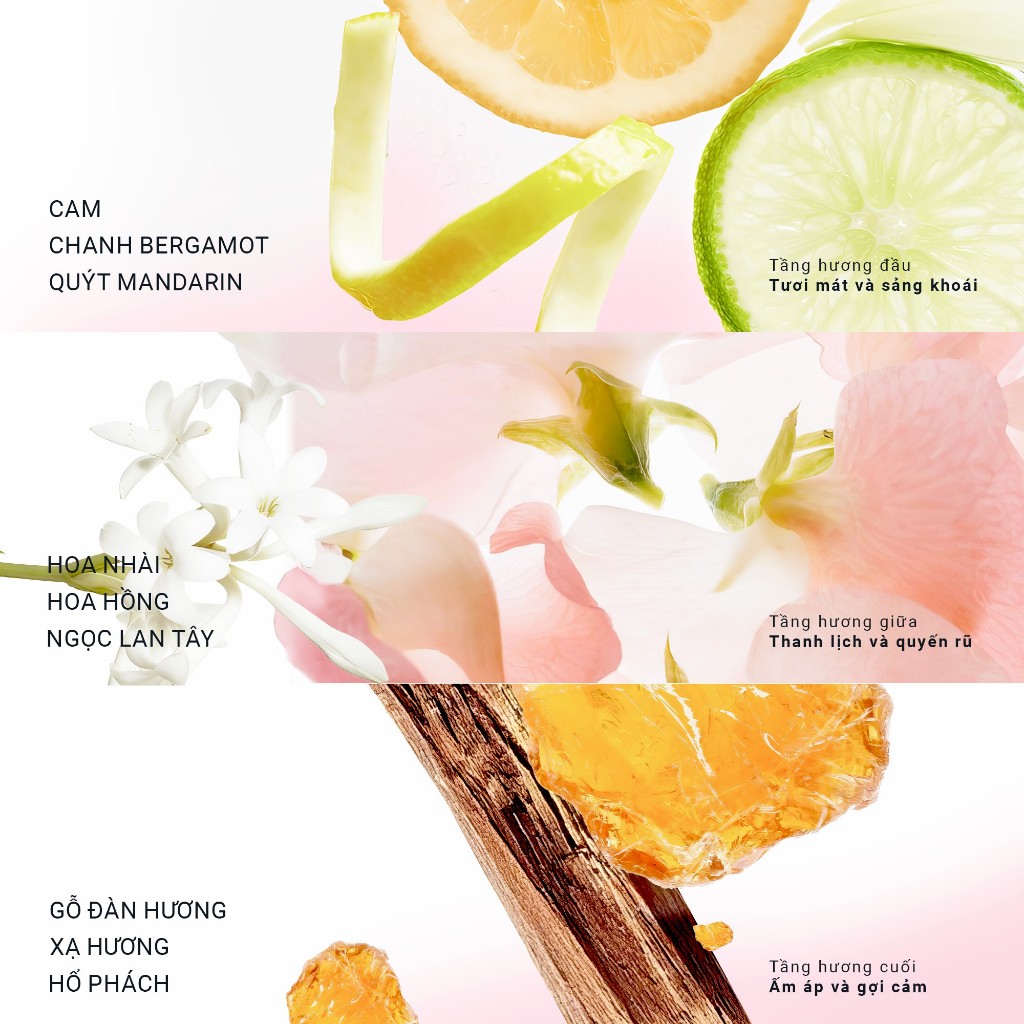 Ảnh Nước hoa cao cấp MOI What Is Love? Phiên bản giới hạn 50ml 2