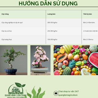 Phân bón NPK XANH 30-10-10 + 80Zn Túi 1kg (bán lẻ) - Giúp xanh cây, tốt lá, đâm tược mạnh, thân cành
