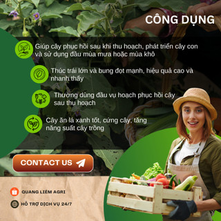Phân bón NPK XANH 30-10-10 + 80Zn Túi 1kg (bán lẻ) - Giúp xanh cây, tốt lá, đâm tược mạnh, thân cành