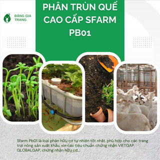 Phân Trùn Quế - Phân Bón Hữu Cơ SFARM PB01 Bọc 10KG Đặng Gia Trang - Đã Xử Lý, An Toàn, Dinh Dưỡng