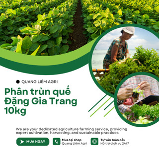 Phân Trùn Quế - Phân Bón Hữu Cơ SFARM PB01 Bọc 10KG Đặng Gia Trang - Đã Xử Lý, An Toàn, Dinh Dưỡng