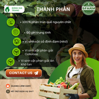Phân Trùn Quế - Phân Bón Hữu Cơ SFARM PB01 Bọc 10KG Đặng Gia Trang - Đã Xử Lý, An Toàn, Dinh Dưỡng