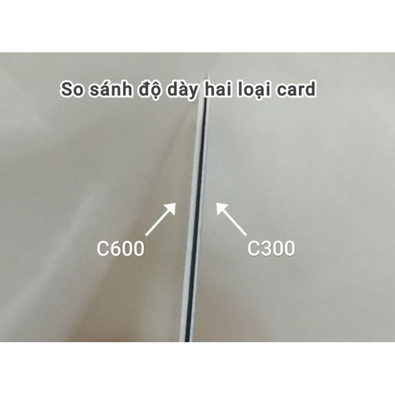 [5 mẫu] Card bo góc/Photocard Honkai: Star Rail Fugue Herta Robin Firefly Acheron