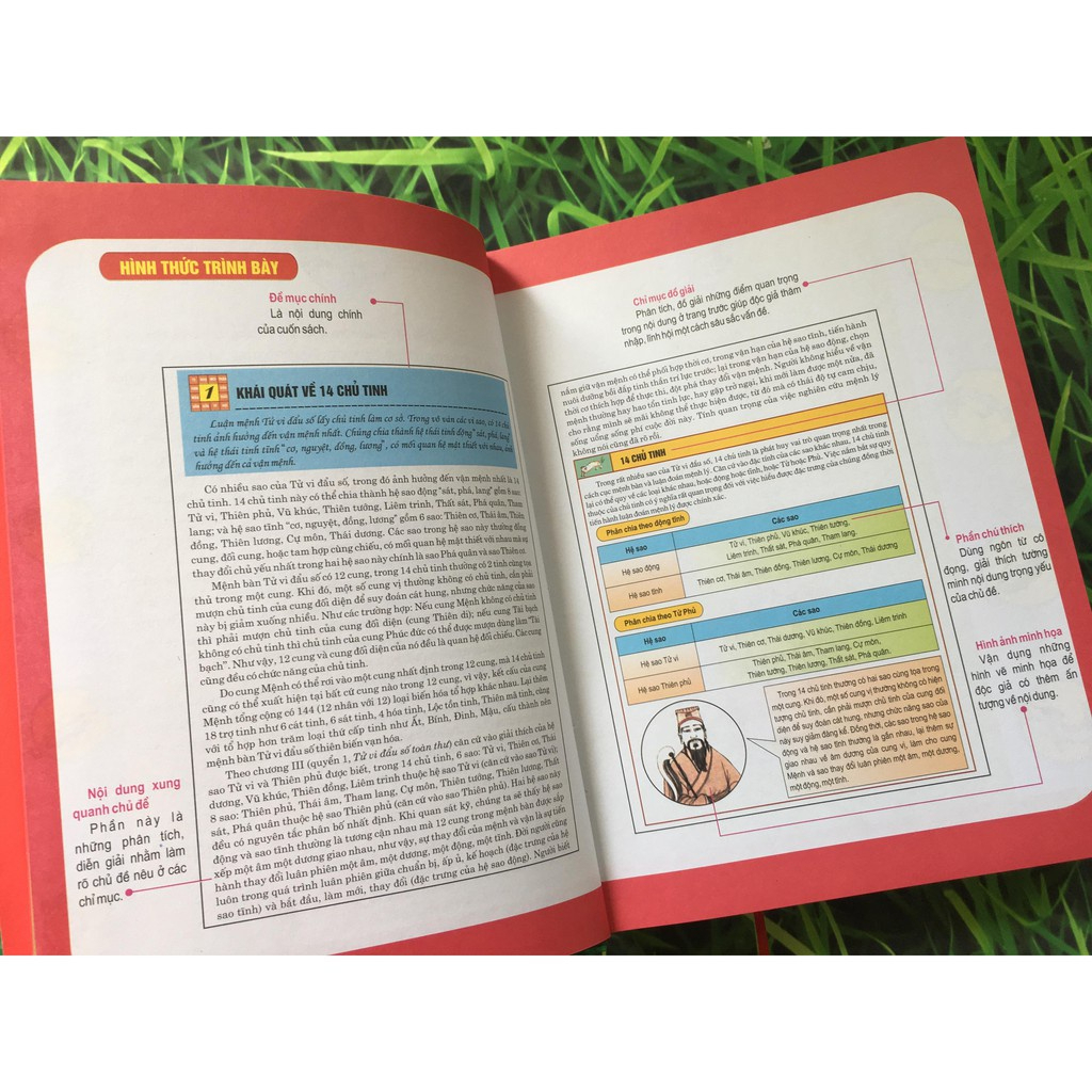Sách - Tử Vi Đầu Số Toàn Thư - Tập 2
