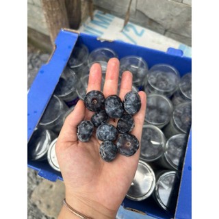 [ JENNY FRUIT ] [ HỎA TỐC ] Việt Quất tươi peru trái to 1 hộp