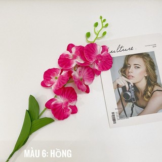 Hoa giả - Hoa Lan Hồ Điệp Lucas 60cm trang trí bền, đẹp, sang trọng
