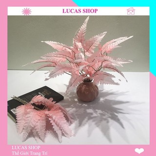 Combo 10 Cành Lá Dương Xỉ - Phụ Kiện Trang Trí, Cắm Điểm, Decor lọ hoa, đạo cụ studio và chụp ảnh