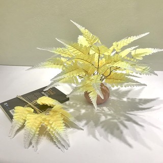 Lá Dương Xỉ - Phụ Kiện Trang Trí, Cắm Điểm, Decor lọ hoa, đạo cụ studio và chụp ảnh