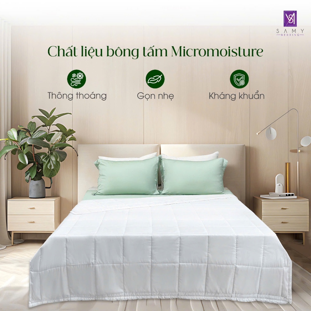 Ảnh Ruột Chăn Hè Cao Cấp SAMY Chuẩn Khách sạn 5 sao 1