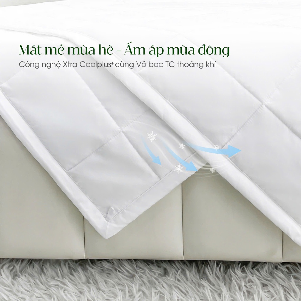 Ảnh Ruột Chăn Hè Cao Cấp SAMY Chuẩn Khách sạn 5 sao 2