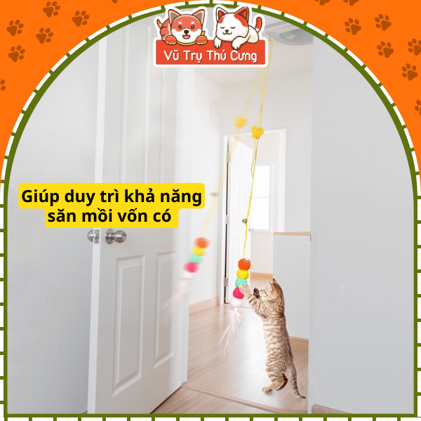 Đồ chơi đuổi bắt cho Mèo tự chơi, dây gắn tường tương tác vui nhộn