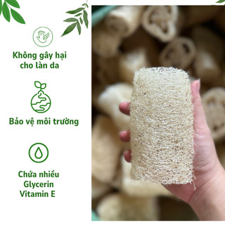 COMBO 3 MIẾNG XƠ MƯỚP CẮT KHÚC nguyên trái KB Ecolife làm miếng rửa bát hoặc bông tắm an toàn