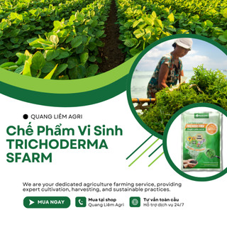 Chế Phẩm Vi Sinh TRICHODERMA SFARM, Nấm đối kháng Trichoderma Plus Humic - Gói 1KG ú phân chuồng rác