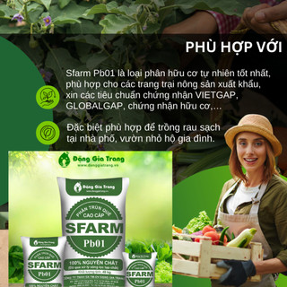 Phân Trùn Quế - Phân Bón Hữu Cơ SFARM PB01 Bọc 5KG Đặng Gia Trang - Đã Xử Lý, An Toàn, Dinh Dưỡng