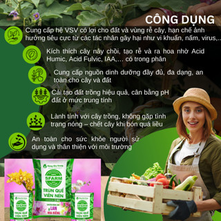 Viên Nén Trùn Quế Tan Chậm SFARM - Phân Dưỡng Vi Sinh Cao Cấp Loại 1KG Chuyên Dùng Cho Lan