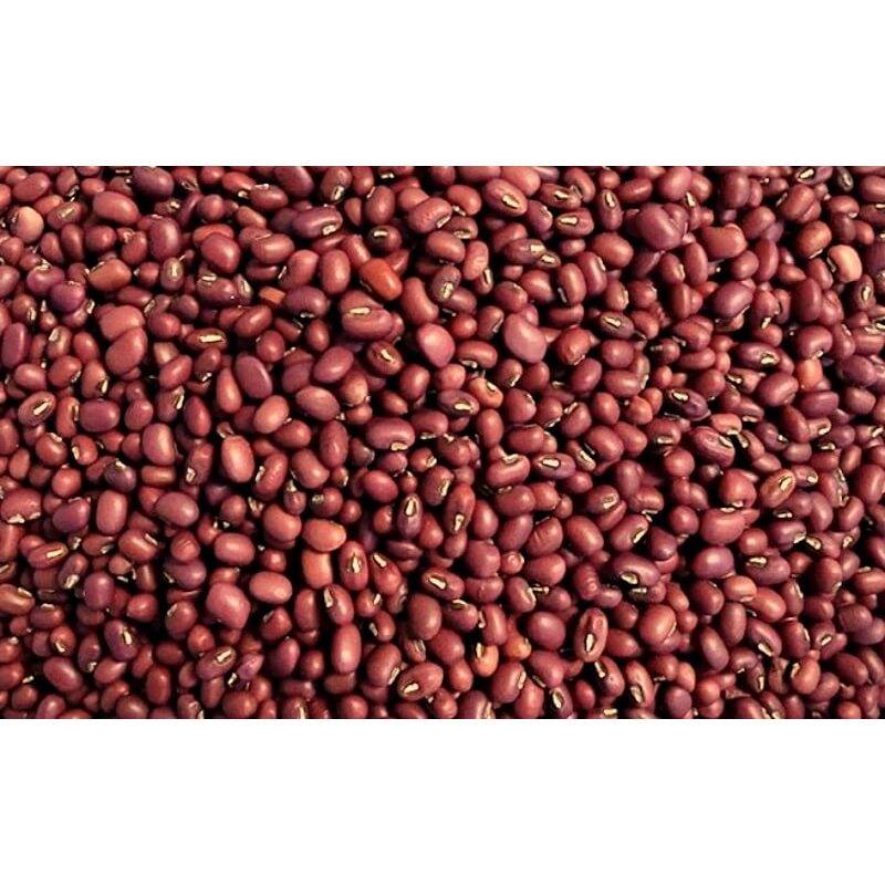 [SỈ] 5KG ĐẬU ĐỎ NGUYÊN HẠT HÀNG CHUẨN ĐẸP _ Đậu đỏ giá sỉ _ nông sản giá sỉ _nông sản giá rẻ