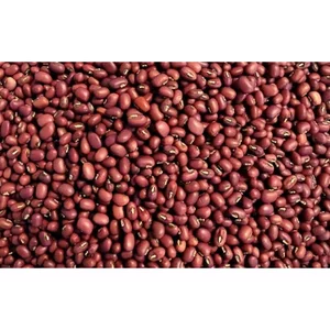 5KG ĐẬU ĐỎ NGUYÊN HẠT HÀNG CHUẨN ĐẸP _ Đậu đỏ giá sỉ _ nông sản giá sỉ _nông sản giá rẻ